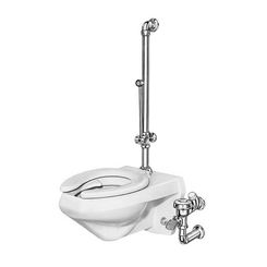 Click here to see Sloan 3017100 Sloan Royal BPW 1040-3.5 Exposed Manual Specialty Water Closet Bedpan Washer Flushometer (3017100)