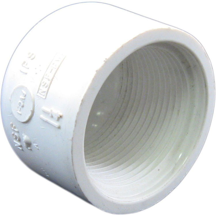 Pvccap114t Schedule 40 Pvc Threaded Cap 1 1 4 Inch Plumbersstock