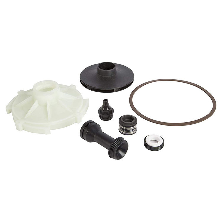 Red Lion 305584006 Red Lion 305584006 Overhaul Kit for RJS-50-PREM Pump