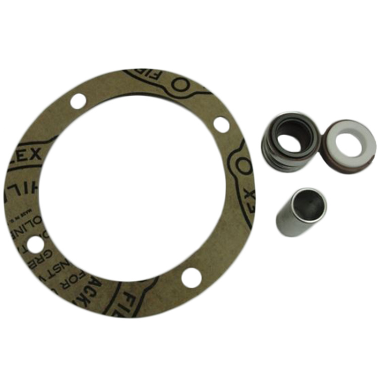 Red Lion 640197 Red Lion 640197 Replacement Seal Kit for 5RLGF-8 Pump