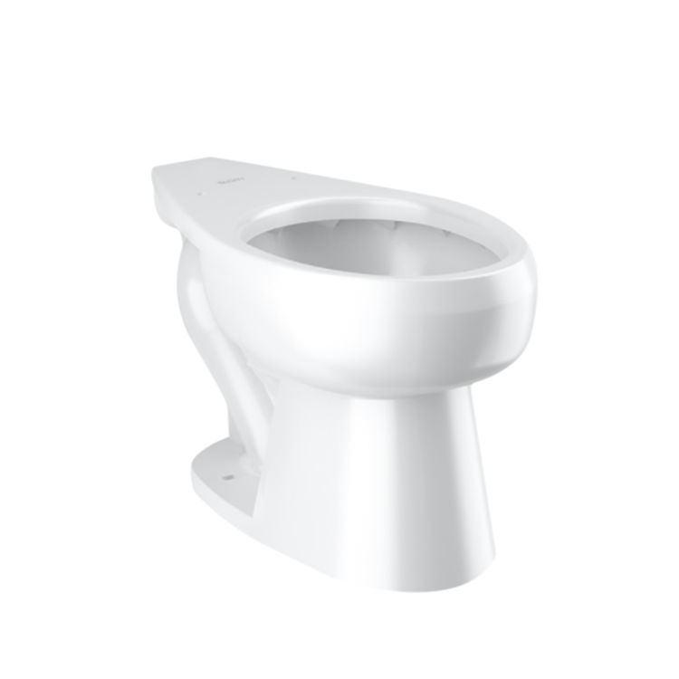 walk in tub for disabled