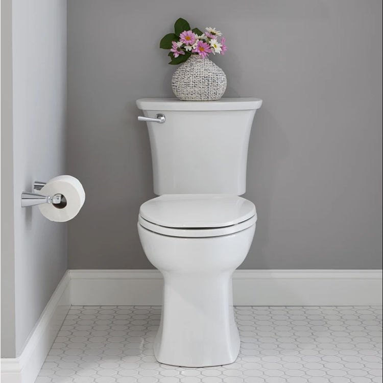 ada elongated toilet