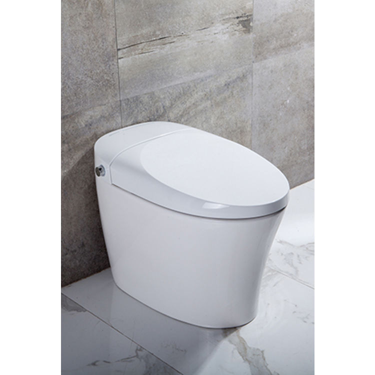 View 5 of Trone Plumbing NETBCERN-12.WH Trone Neodoro Smart Electronic Bidet Toilet in White, NETBCERN-12.WH