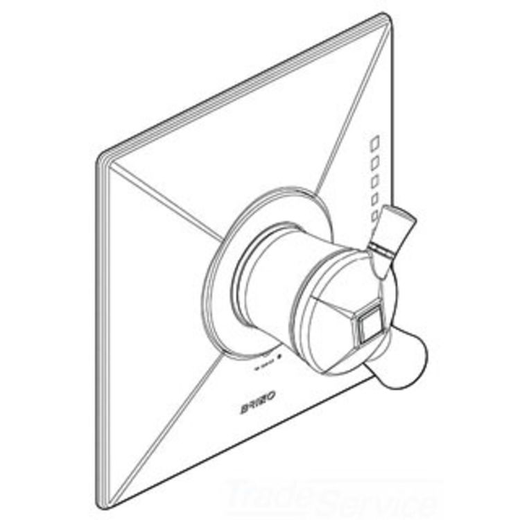 Brizo RP54314BN Brizo RP54314BN Brushed Nickel 1900 Conversion Trim Kit